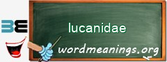 WordMeaning blackboard for lucanidae